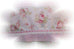 Mary Rose Pink Decorative Guest Towel-Limited Supply!
