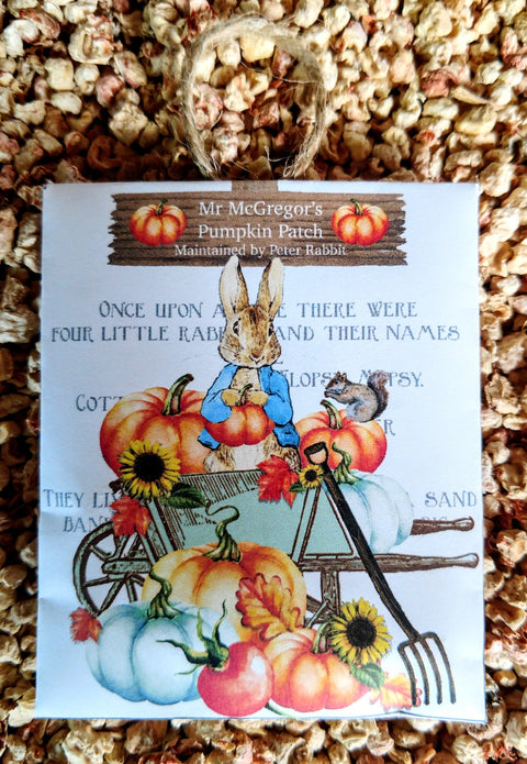 Peter Rabbit Fall Party Favors Set of 3 Sachets