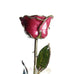 Romantic Long Stemmed Forever Lasting Rose - Beating Hearts - Perfect for Valentines Day and Mothers Day