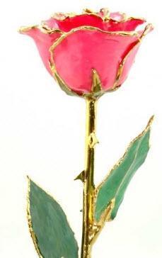 Romantic Long Stemmed Forever Lasting Rose - Bright Pink - Perfect for Valentines Day and Mothers Day