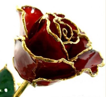 Romantic Long Stemmed Forever Lasting Rose - Burgundy - Perfect for Valentines Day and Mothers Day-Roses And Teacups