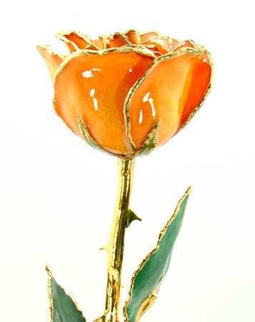 Romantic Long Stemmed Forever Lasting Rose - Orange - Perfect for Valentines Day and Mothers Day