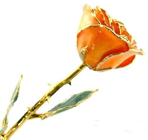 Romantic Long Stemmed Forever Lasting Rose - Orange - Perfect for Valentines Day and Mothers Day