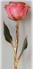 Romantic Long Stemmed Forever Lasting Rose - Pink - Perfect for Valentines Day and Mothers Day