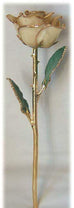Romantic Long Stemmed Forever Lasting Rose - White - Perfect for Valentines Day and Mothers Day
