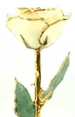 Romantic Long Stemmed Forever Lasting Rose - White Satin - Perfect for Valentines Day and Mothers Day