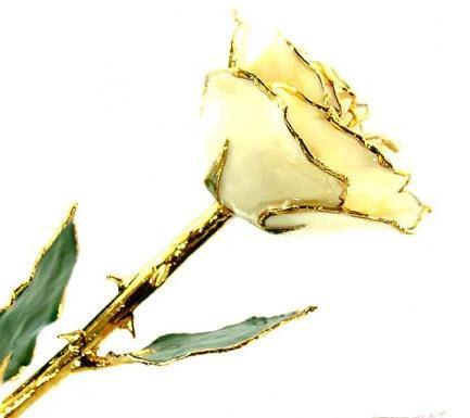 Romantic Long Stemmed Forever Lasting Rose - White Satin - Perfect for Valentines Day and Mothers Day