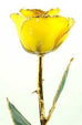 Romantic Long Stemmed Forever Lasting Rose - Yellow - Perfect for Valentines Day and Mothers Day