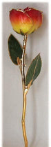 Romantic Long Stemmed Forever Lasting Rose - Yellow to Red - Perfect for Valentines Day and Mothers Day