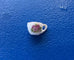 Rosemary Mini Porcelain Tea Cup Charm
