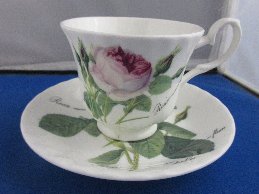 2 Redoute Rose English Bone China Teacups-Roses And Teacups