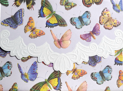 Carol Wilson Butterflies Note Card Portfolio