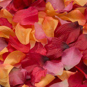 Fall Petals for Weddings (approx 250)
