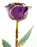 Romantic Long Stemmed Forever Lasting Rose - Purple - Perfect for Valentines Day and Mothers Day-Roses And Teacups