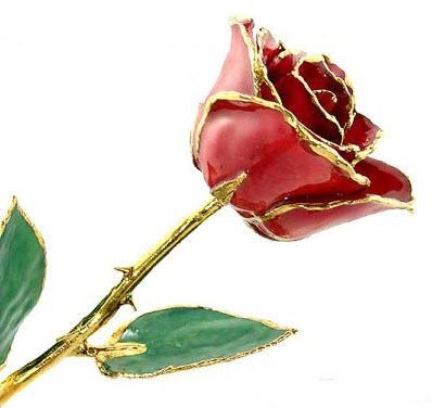 Romantic Long Stemmed Forever Lasting Rose - Red - Perfect for Valentines Day and Mothers Day-Roses And Teacups