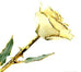 Romantic Long Stemmed Forever Lasting Rose - White Satin - Perfect for Valentines Day and Mothers Day-Roses And Teacups