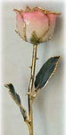 Romantic Long Stemmed Forever Lasting Rose - White to Pink - Perfect for Valentines Day and Mothers Day-Roses And Teacups