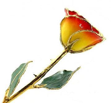 Romantic Long Stemmed Forever Lasting Rose - Yellow to Red - Perfect for Valentines Day and Mothers Day-Roses And Teacups