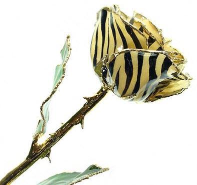 Romantic Long Stemmed Forever Lasting Rose - Zebra - Perfect for Valentines Day and Mothers Day-Roses And Teacups